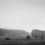 Nußloch - Brunnenfeld - Nebel